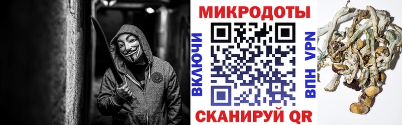 гидра как зайти  что такое   Белогорск  Псилоцибиновые грибы мухоморы 